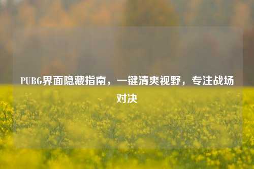 PUBG界面隐藏指南,一键清爽视野,专注战场对决