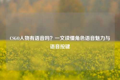 CSGO人物有语音吗?一文读懂角色语音魅力与语音按键