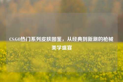 CS:GO热门系列皮肤图鉴,从经典到新潮的枪械美学盛宴