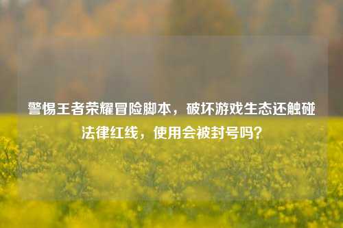 警惕王者荣耀冒险脚本,破坏游戏生态还触碰法律红线,使用会被封号吗?