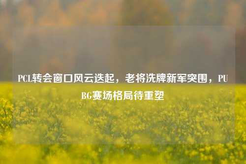 PCL转会窗口风云迭起,老将洗牌新军突围,PUBG赛场格局待重塑