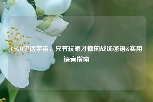 CSGO黑话宇宙,只有玩家才懂的战场密语&实用语音指南