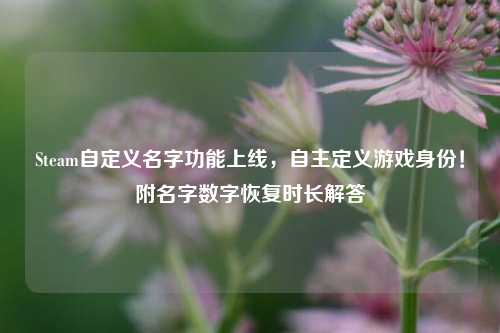 Steam自定义名字功能上线,自主定义游戏身份!附名字数字恢复时长解答