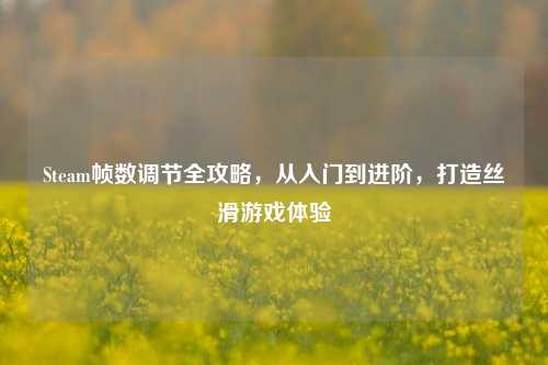 Steam帧数调节全攻略,从入门到进阶,打造丝滑游戏体验