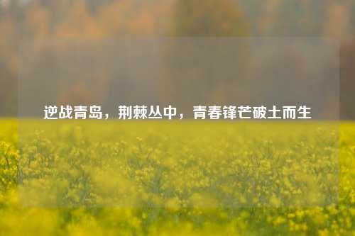 逆战青岛,荆棘丛中,青春锋芒破土而生