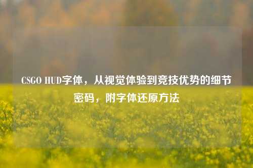 CSGO HUD字体,从视觉体验到竞技优势的细节密码,附字体还原方法