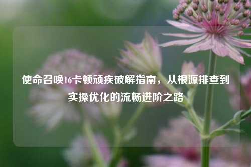 使命召唤16卡顿顽疾破解指南，从根源排查到实操优化的流畅进阶之路