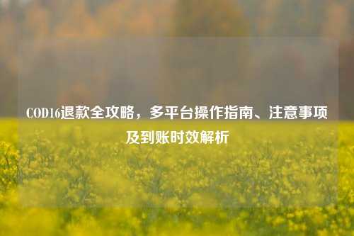 COD16退款全攻略，多平台操作指南、注意事项及到账时效解析