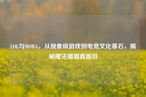LOL与MOBA,从现象级游戏到电竞文化基石,揭秘魔法猫猫真面目