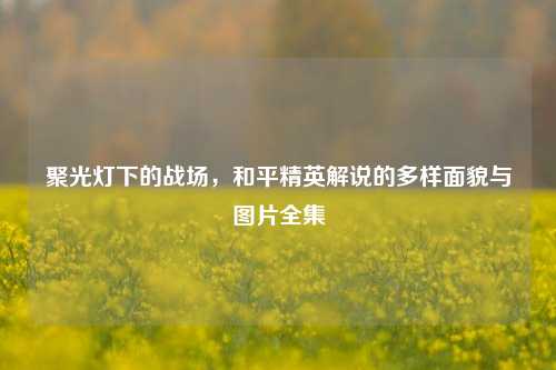 聚光灯下的战场,和平精英解说的多样面貌与图片全集