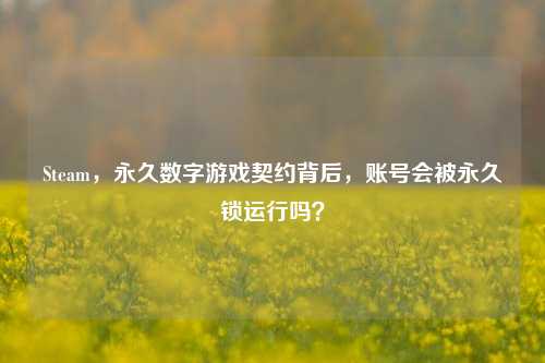 Steam,永久数字游戏契约背后,账号会被永久锁运行吗?