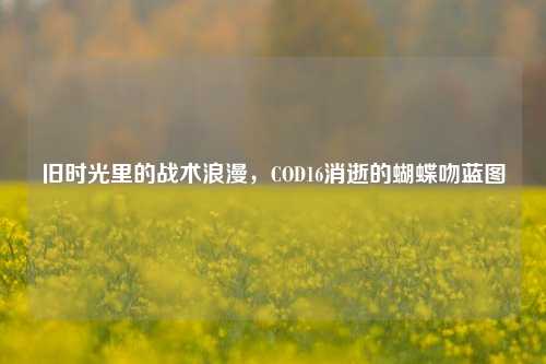 旧时光里的战术浪漫,COD16消逝的蝴蝶吻蓝图