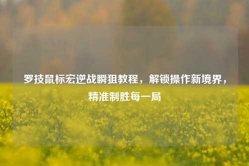 罗技鼠标宏逆战瞬狙教程,解锁操作新境界,精准制胜每一局