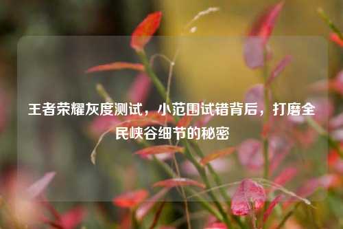 王者荣耀灰度测试,小范围试错背后,打磨全民峡谷细节的秘密