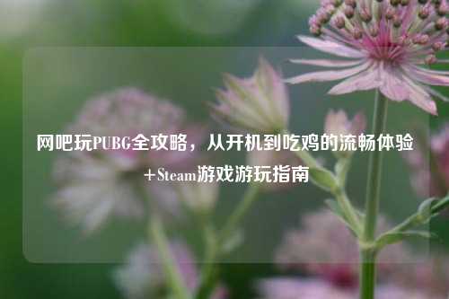 网吧玩PUBG全攻略,从开机到吃鸡的流畅体验+Steam游戏游玩指南