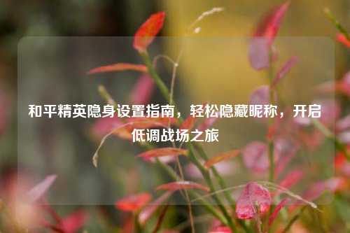 和平精英隐身设置指南，轻松隐藏昵称，开启低调战场之旅