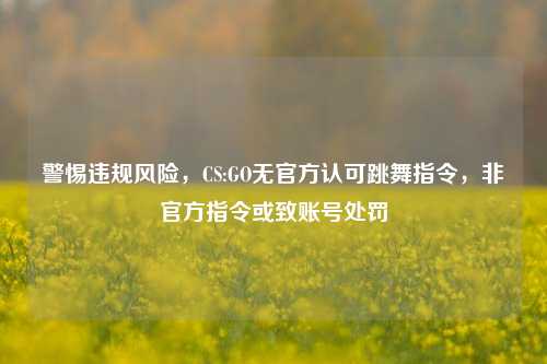 警惕违规风险,CS:GO无官方认可跳舞指令,非官方指令或致账号处罚