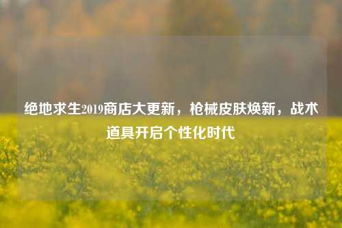 绝地求生2019商店大更新,枪械皮肤焕新,战术道具开启个性化时代