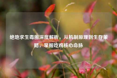 绝地求生毒圈深度解析，从机制原理到生存策略，掌握吃鸡核心命脉