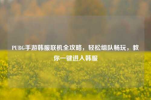 PUBG手游韩服联机全攻略,轻松组队畅玩,教你一键进入韩服