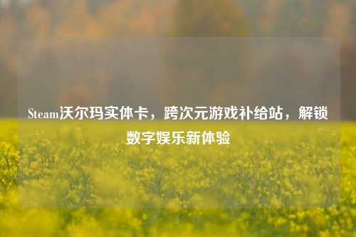 Steam沃尔玛实体卡,跨次元游戏补给站,解锁数字娱乐新体验