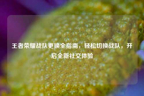 王者荣耀战队更换全指南，轻松切换战队，开启全新社交体验
