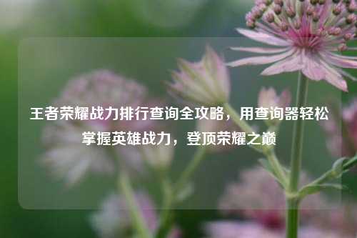 王者荣耀战力排行查询全攻略，用查询器轻松掌握英雄战力，登顶荣耀之巅