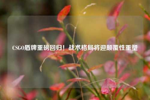 CSGO盾牌重磅回归!战术格局将迎颠覆性重塑