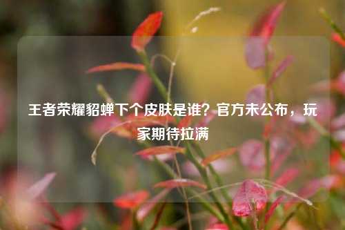 王者荣耀貂蝉下个皮肤是谁？官方未公布，玩家期待拉满