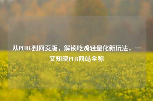 从PUBG到网页版，解锁吃鸡轻量化新玩法，一文知晓PUB网站全称