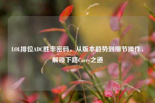 LOL排位ADC胜率密码,从版本趋势到细节操作,解锁下路Carry之道