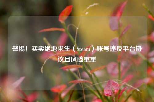 警惕!买卖绝地求生(Steam)账号违反平台协议且风险重重