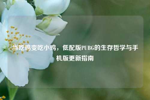 当吃鸡变吃小鸡，低配版PUBG的生存哲学与手机版更新指南