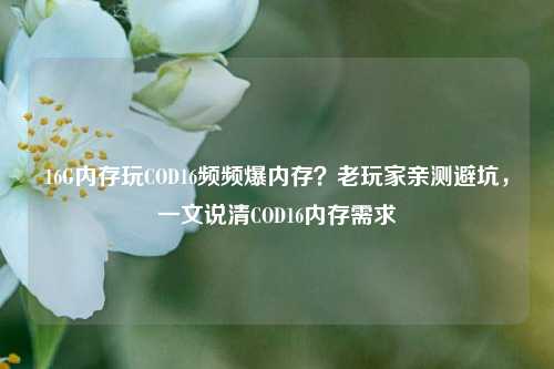 16G内存玩COD16频频爆内存?老玩家亲测避坑,一文说清COD16内存需求