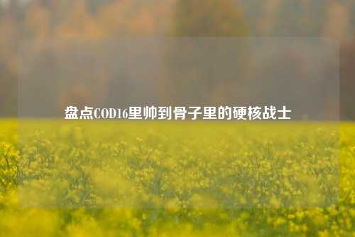 盘点COD16里帅到骨子里的硬核战士
