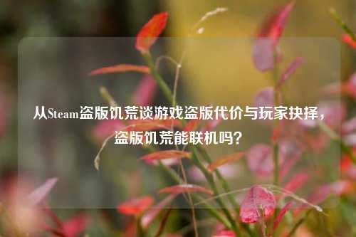 从Steam盗版饥荒谈游戏盗版代价与玩家抉择,盗版饥荒能联机吗?