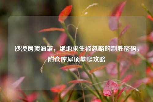 沙漠房顶油罐，绝地求生被忽略的制胜密码，附仓库屋顶攀爬攻略