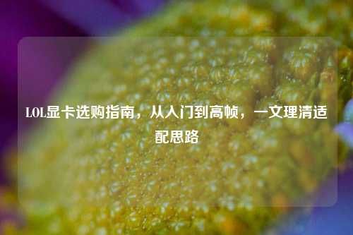 LOL显卡选购指南,从入门到高帧,一文理清适配思路