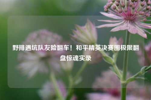 野排遇坑队友险翻车！和平精英决赛圈极限翻盘惊魂实录