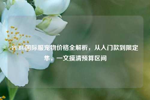 PUBG国际服宠物价格全解析,从入门款到限定隼,一文摸清预算区间