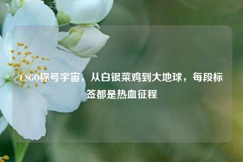 CSGO称号宇宙，从白银菜鸡到大地球，每段标签都是热血征程