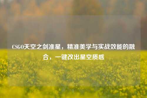 CSGO天空之剑准星,精准美学与实战效能的融合,一键改出星空质感