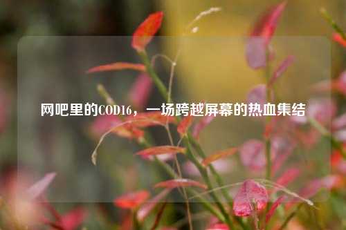 网吧里的COD16，一场跨越屏幕的热血集结