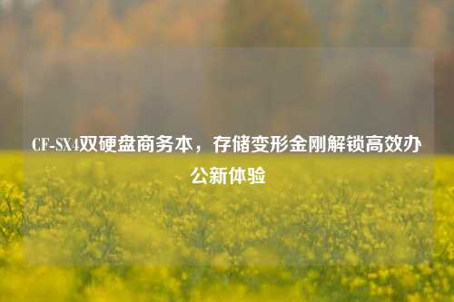 CF-SX4双硬盘商务本,存储变形金刚解锁高效办公新体验