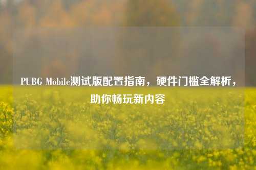 PUBG Mobile测试版配置指南,硬件门槛全解析,助你畅玩新内容