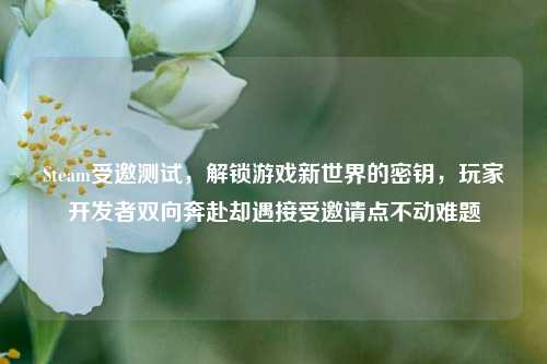 Steam受邀测试,解锁游戏新世界的密钥,玩家开发者双向奔赴却遇接受邀请点不动难题