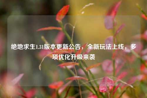 绝地求生1.31版本更新公告,全新玩法上线,多项优化升级来袭