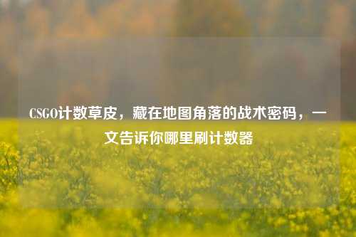 CSGO计数草皮，藏在地图角落的战术密码，一文告诉你哪里刷计数器
