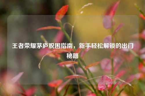 王者荣耀茅庐脱困指南,新手轻松解锁的出门秘籍
