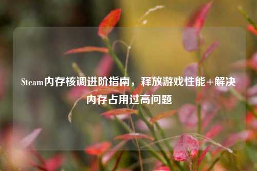 Steam内存核调进阶指南，释放游戏性能+解决内存占用过高问题